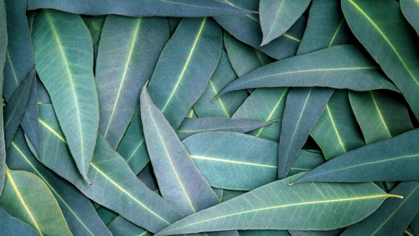 Pourquoi une marque durable pour allaiter? - MOTHERWOOD